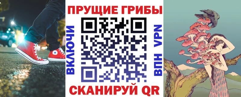 Псилоцибиновые грибы мицелий  блэк спрут ссылка  Южа 