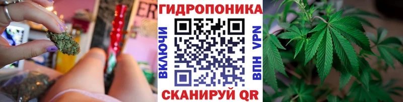 Конопля SATIVA & INDICA Южа